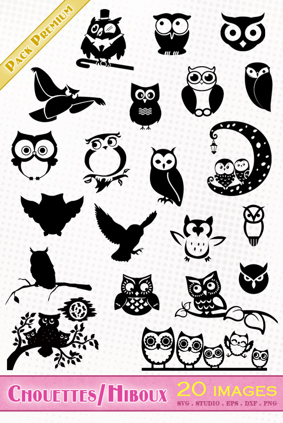 Pack Premium - 20 images de hiboux/chouettes aux formats STUDIO, SVG, EPS, DXF et PNG