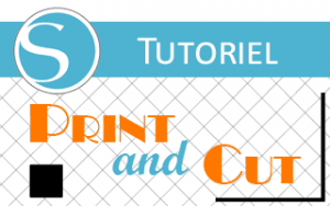 tuto print and cut silhouette studio cameo portrait curio how to comment