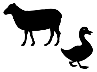 Animaux de la ferme