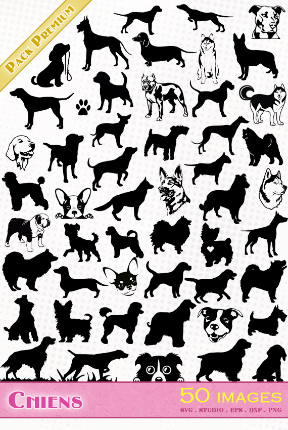 chien fichier vectoriel svg eps silhouette dxf cameo portrait scanncut cricut labrador chiwawa berger allemand pitbull american staff colley caniche boxer