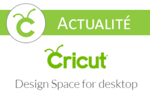 cricut design space for windows offline déconnecté hors ligne